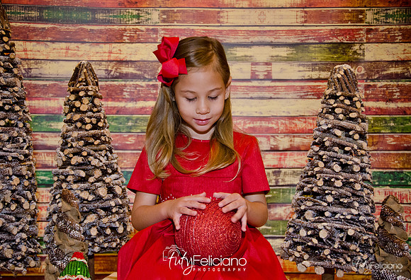 Navidad 2014-16579