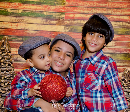 Navidades 2014-16370