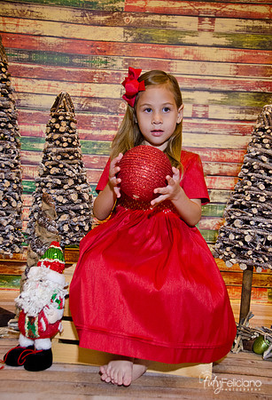 Navidad 2014-16581