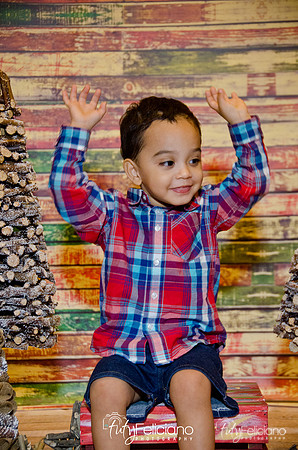 Navidad 2014-16777