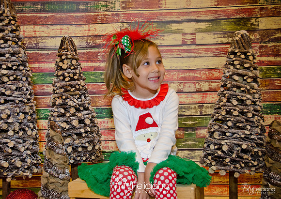Navidades 2014-16175