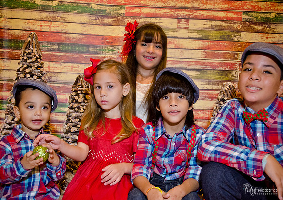 Navidad 2014-16591