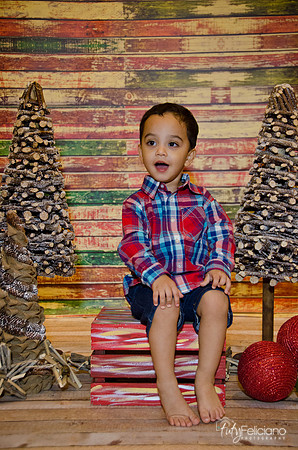 Navidad 2014-16724