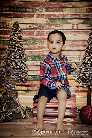 Navidad 2014-16731