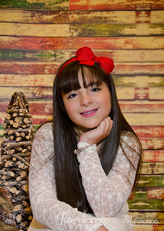 Navidades 2014-16219