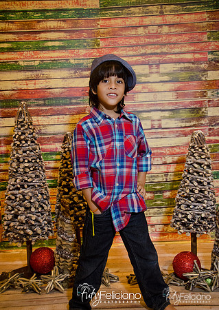 Navidades 2014-16247