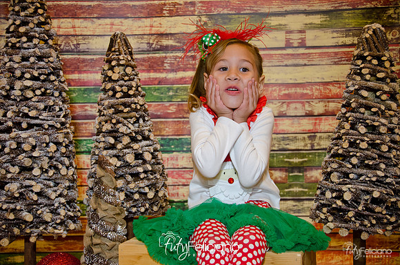 Navidades 2014-16163