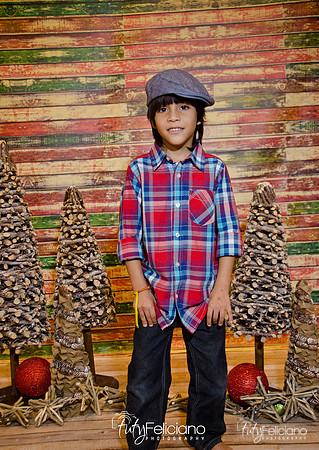 Navidades 2014-16249