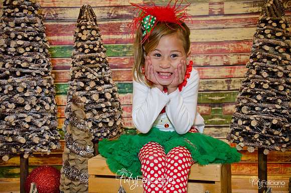 Navidades 2014-16160