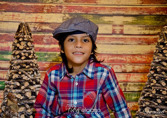 Navidades 2014-16196