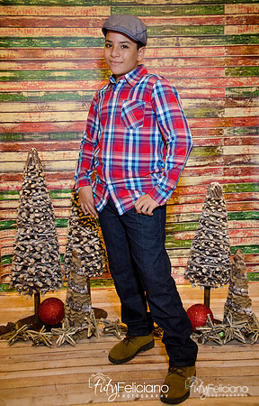 Navidades 2014-16299