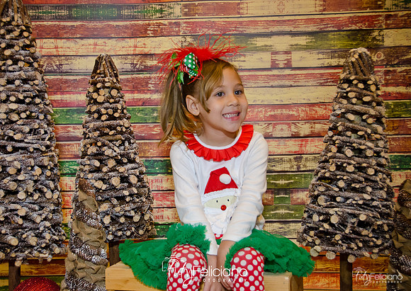 Navidades 2014-16174