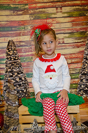 Navidades 2014-16137