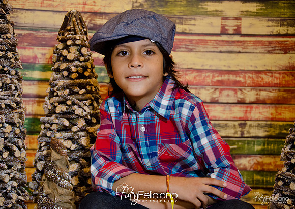 Navidades 2014-16201