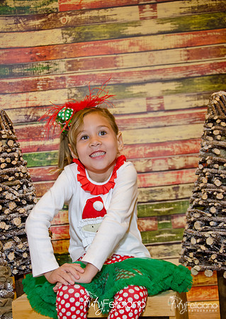 Navidades 2014-16183