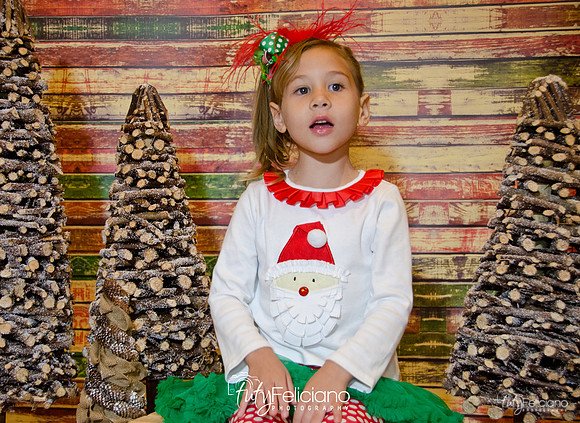 Navidades 2014-16151