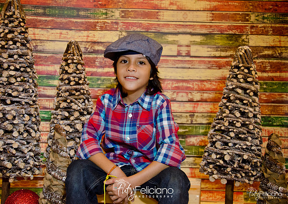 Navidades 2014-16188