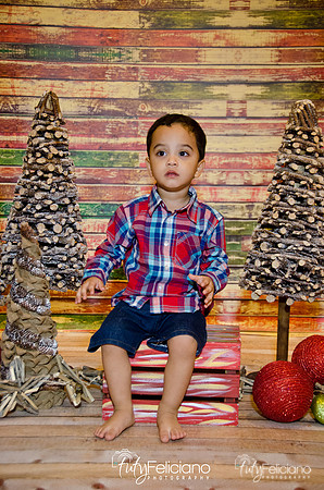 Navidad 2014-16739