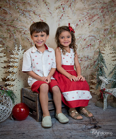 2 Navidad-8095