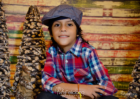 Navidades 2014-16200