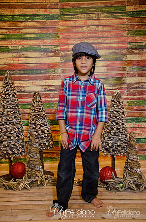Navidades 2014-16253