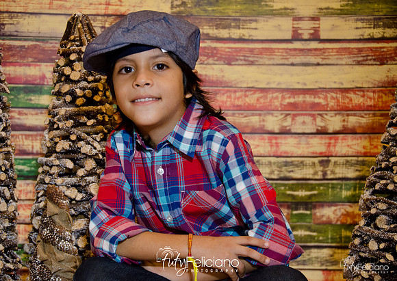 Navidades 2014-16199