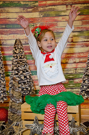 Navidades 2014-16135