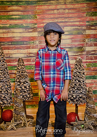 Navidades 2014-16248