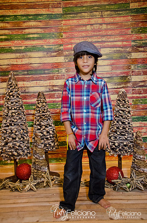 Navidades 2014-16250