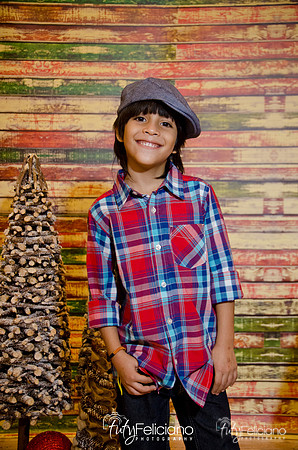 Navidades 2014-16265