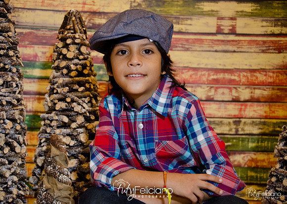 Navidades 2014-16202