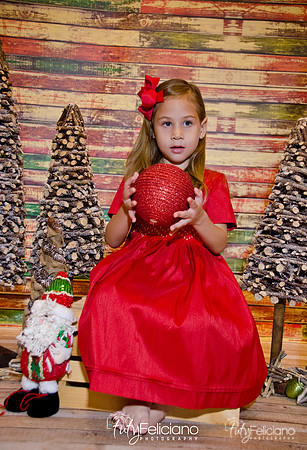 Navidad 2014-16581