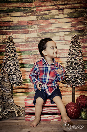 Navidad 2014-16719