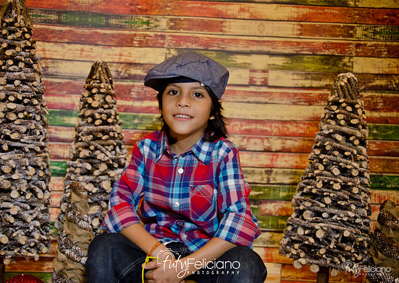 Navidades 2014-16187