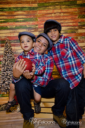 Navidades 2014-16350