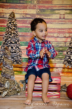 Navidad 2014-16790