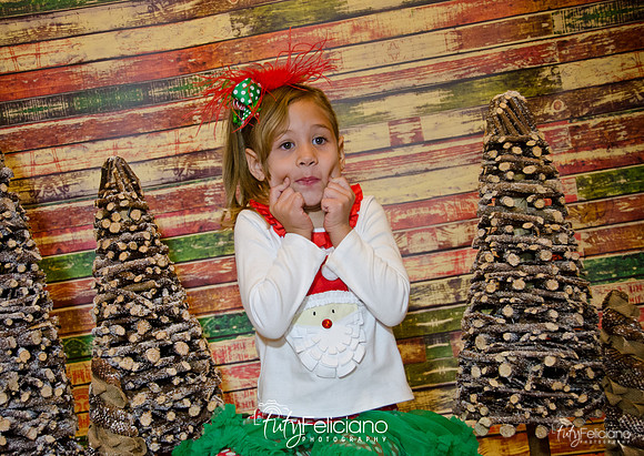 Navidades 2014-16179