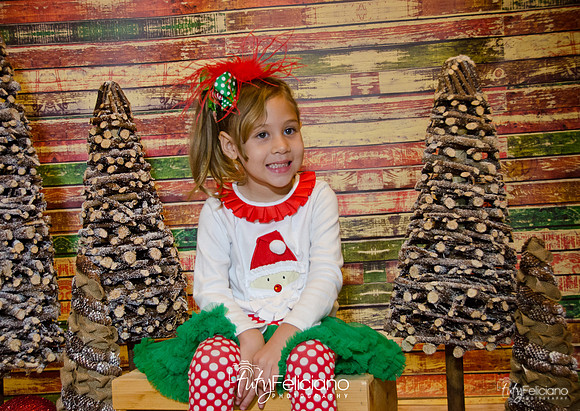 Navidades 2014-16176