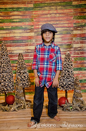 Navidades 2014-16251