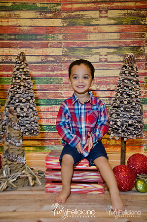 Navidad 2014-16721