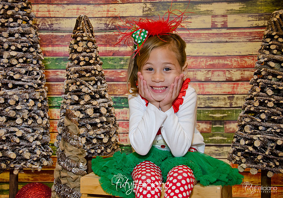 Navidades 2014-16158