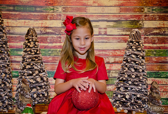 Navidad 2014-16578