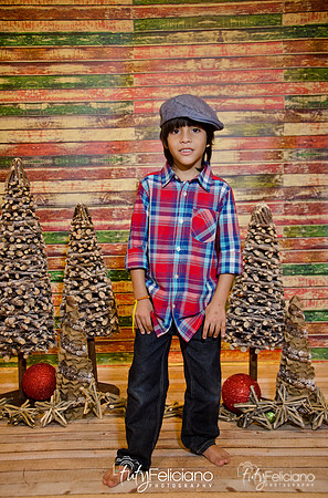 Navidades 2014-16254