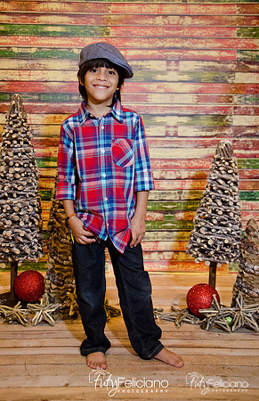 Navidades 2014-16272