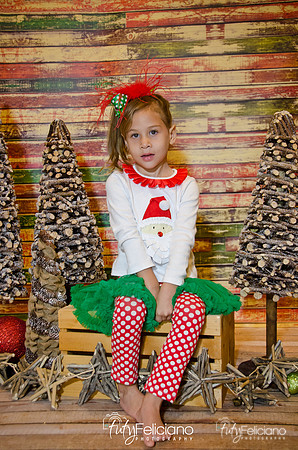Navidades 2014-16125