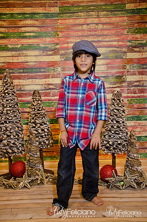 Navidades 2014-16252