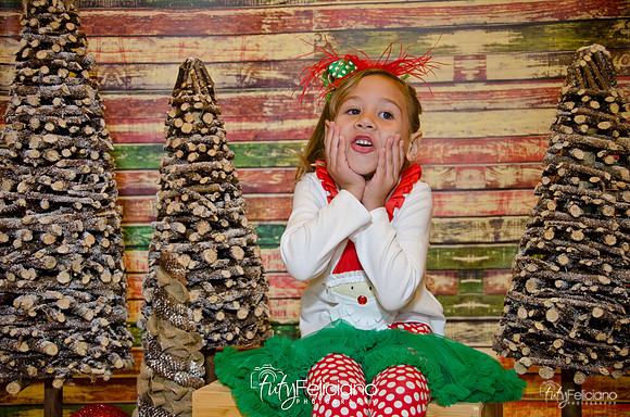 Navidades 2014-16165