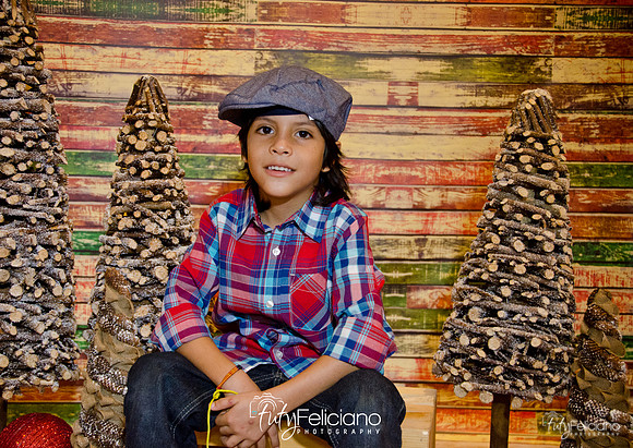 Navidades 2014-16190