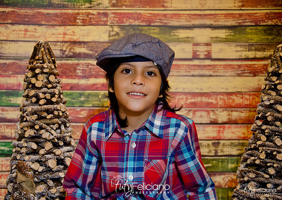 Navidades 2014-16198