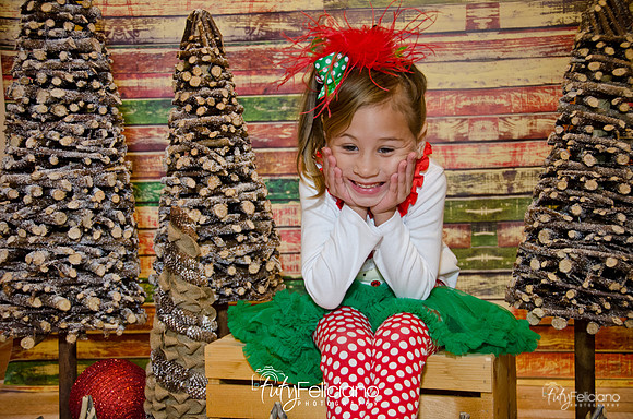 Navidades 2014-16159